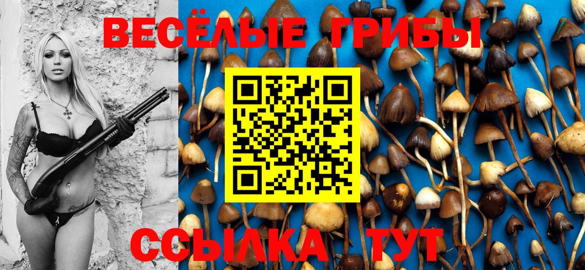 Псилоцибиновые грибы Magic Shrooms Ишимбай