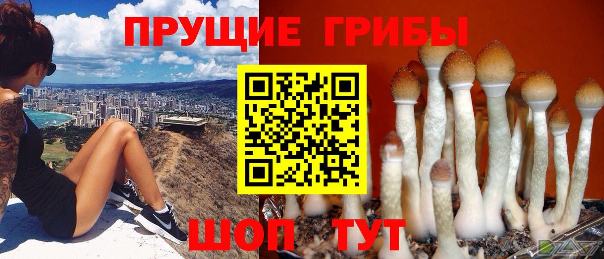 Ишимбай  Галлюциногенные грибы Magic Shrooms  Вход с VPN 